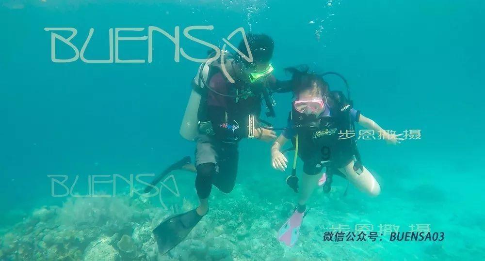 僵尸躲避战